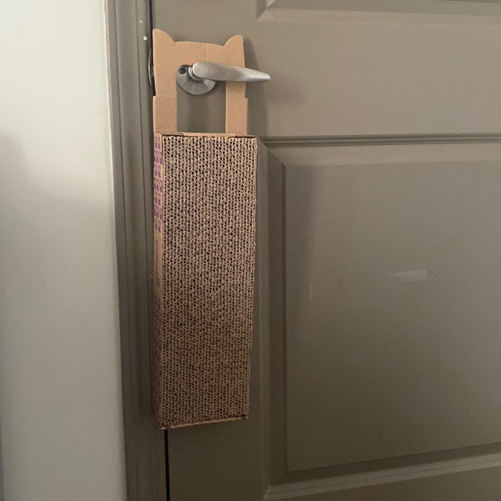 Cat scratcher and catnip bubbles
